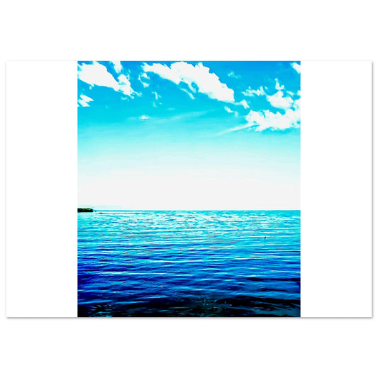 522e38fe-f6ad-4a69-bd12-03b25b7e1424